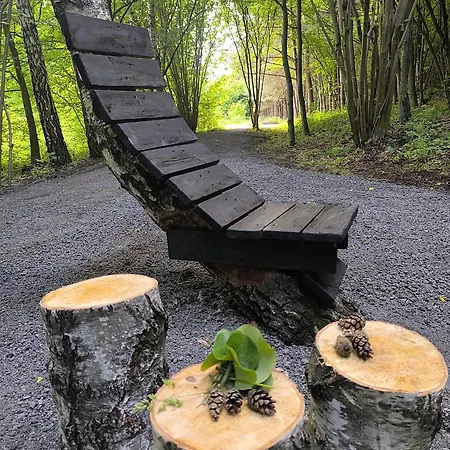 Bukowe Wzgorza Trzebniow (Myszkow)