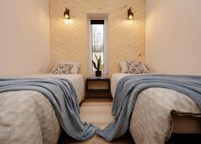 Daire Bukowe Wzgorza